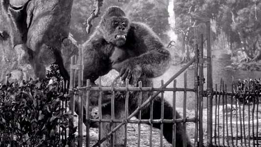 Mighty Joe Young - Backdrop