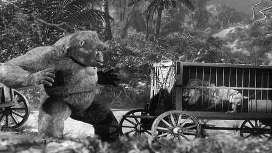 Mighty Joe Young - Backdrop