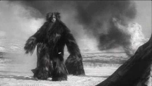 Terror in the Midnight Sun - Backdrops