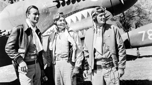 Flying Tigers - Backdrop