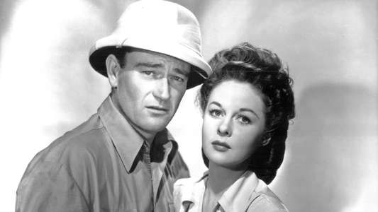The Fighting Seabees - Backdrops