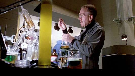 Strange Brew - Backdrop