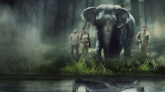 Poacher - Backdrops