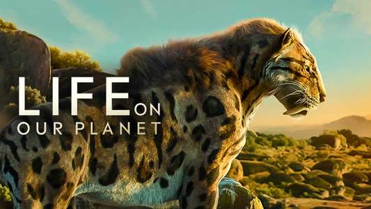 Life on Our Planet - Backdrops