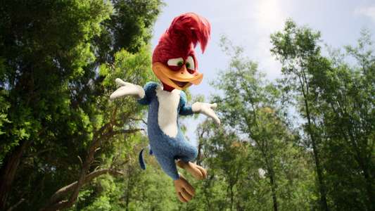 Woody Woodpecker Goes to Camp - Backdrops