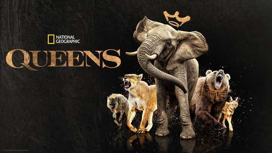 Queens - Backdrops