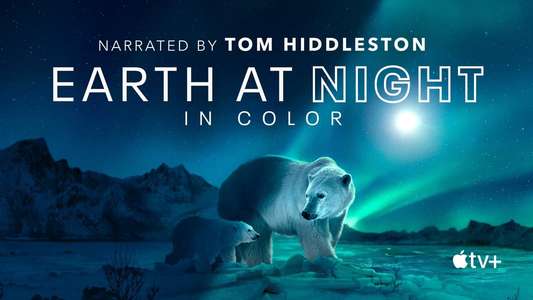 Earth At Night In Color - Backdrops