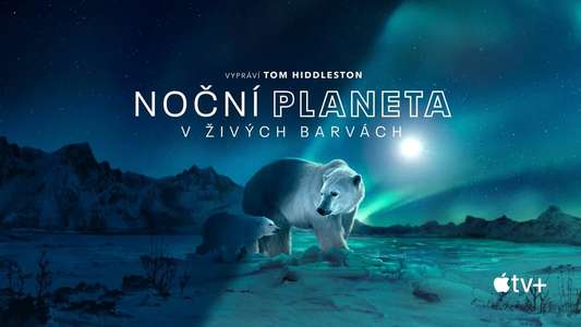 Earth At Night In Color - Backdrops