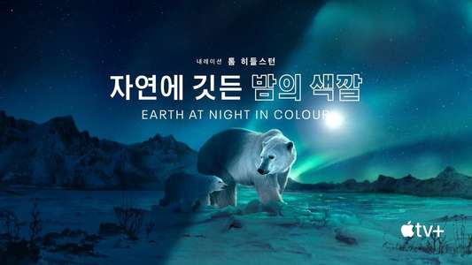Earth At Night In Color - Backdrops