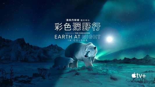 Earth At Night In Color - Backdrops