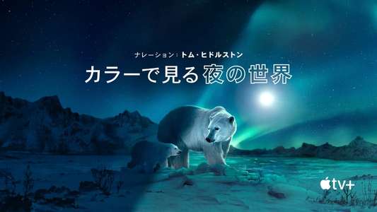 Earth At Night In Color - Backdrops