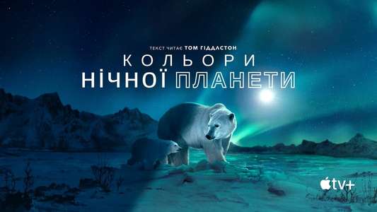 Earth At Night In Color - Backdrops