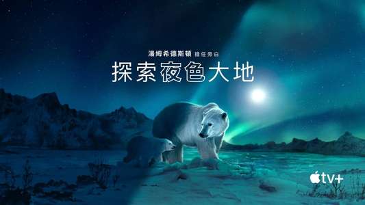Earth At Night In Color - Backdrops
