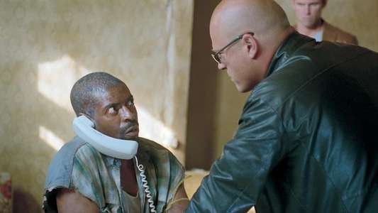 The Shield - Backdrop