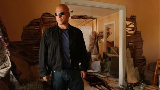 The Shield - Backdrop