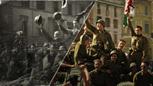 World War II: From the Frontlines - Backdrops
