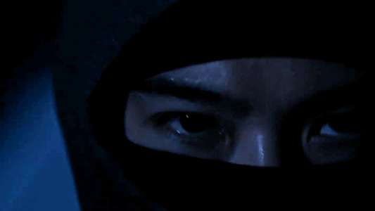 House of Ninjas - Backdrops