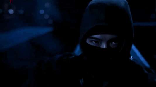 House of Ninjas - Backdrops