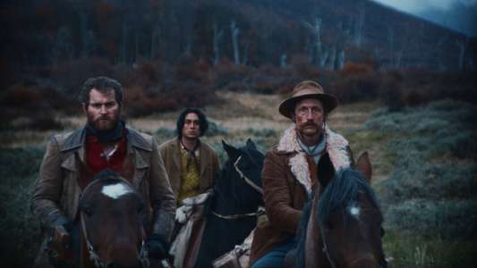 The Settlers - Backdrop