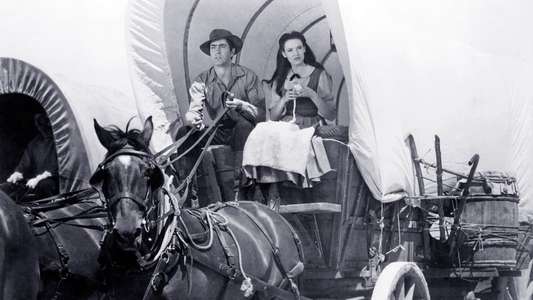 Brigham Young - Backdrop