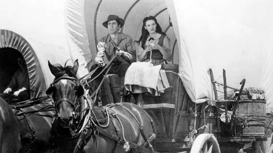 Brigham Young - Backdrop