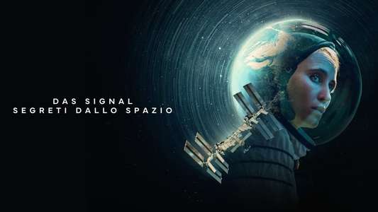The Signal - Backdrops