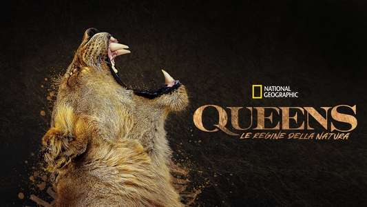 Queens - Backdrops