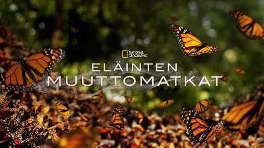 Great Migrations - Backdrop