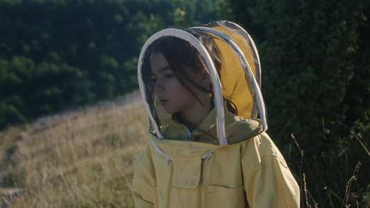 20 000 Species of Bees - Backdrop