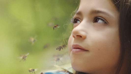 20 000 Species of Bees - Backdrop