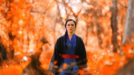 Immortal Fist: The Legend of Wing Chun - Backdrop