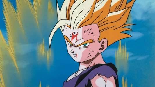 Dragon Ball Z - Backdrop