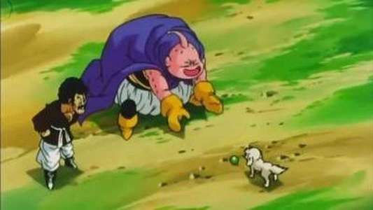 Dragon Ball Z - Backdrop