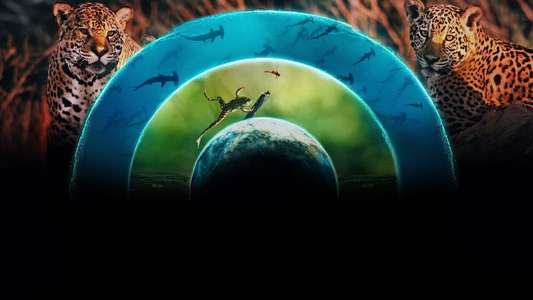 Our Living World - Backdrops