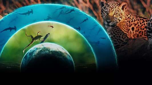 Our Living World - Backdrops