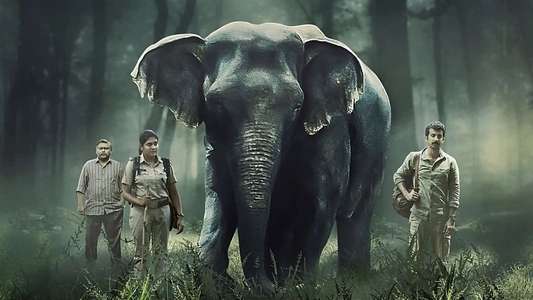 Poacher - Backdrops