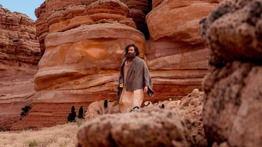 Aadujeevitham - The Goat Life - Backdrops