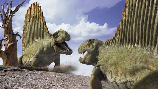 Walking with Monsters - Backdrops