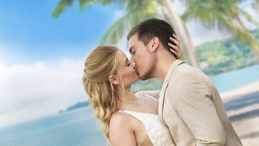 Beautiful Wedding - Backdrops