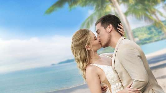 Beautiful Wedding - Backdrops
