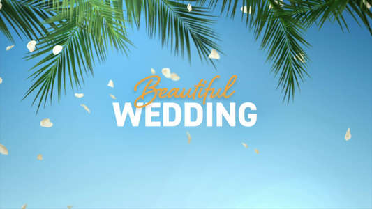 Beautiful Wedding - Backdrops