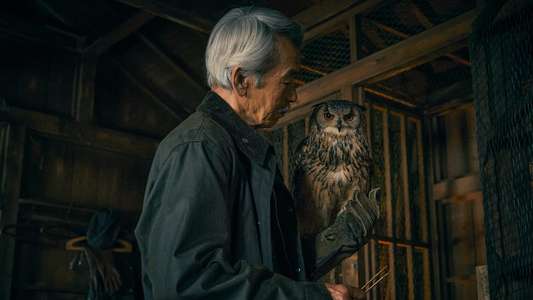 House of the Owl - Backdrops