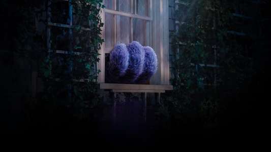 IF - Backdrops