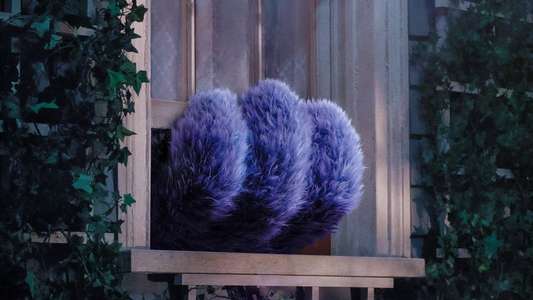 IF - Backdrops