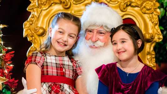 Family for Christmas - Backdrops