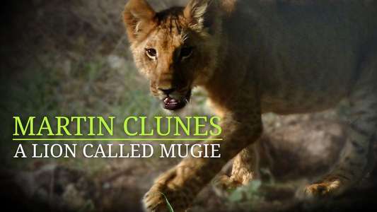 Martin Clunes & a Lion Called Mugie - Backdrop