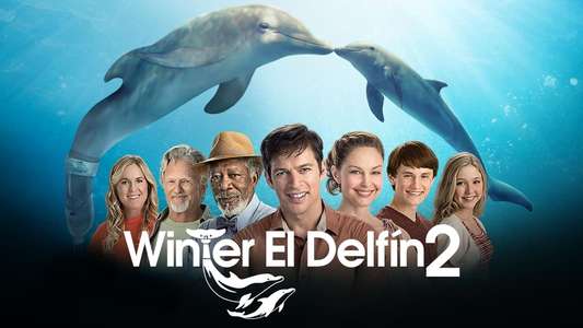 Dolphin Tale 2 - Backdrop