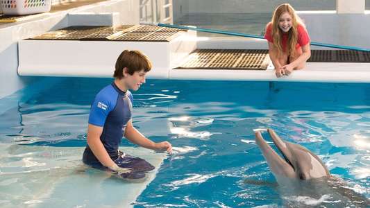 Dolphin Tale 2 - Backdrop