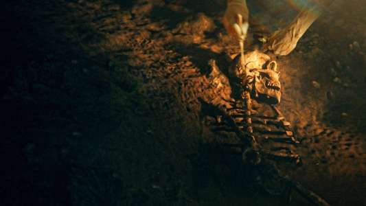 Secrets of the Neanderthals - Backdrop