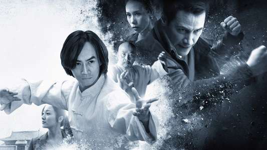 Man of Tai Chi - Backdrop